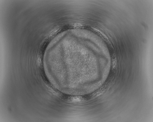 X0000115630618200912081045