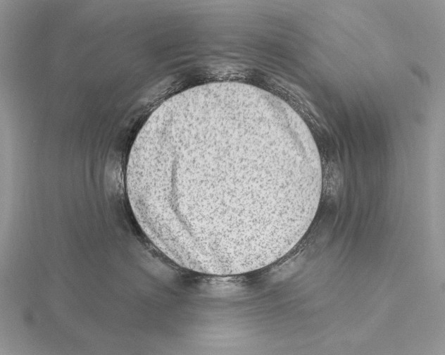 X0000115630622200912081044