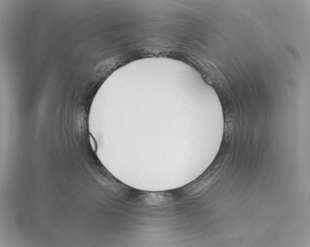 X0000115630623200912081044
