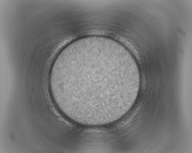 X0000115630625200912081044