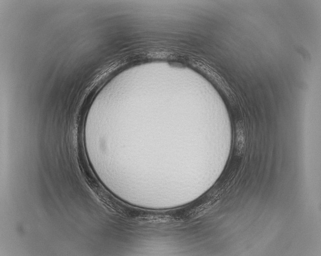 X0000115630626200912081044