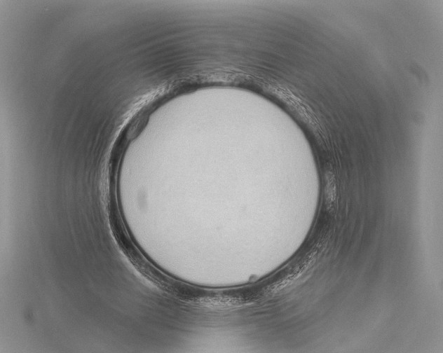 X0000115630630200912081044