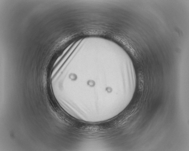 X0000115630631200912081044