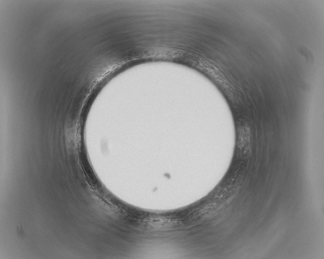 X0000115630632200912081044