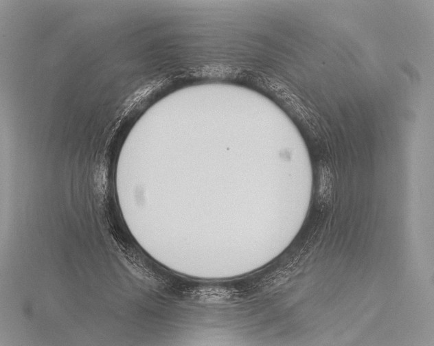X0000115630636200912081044