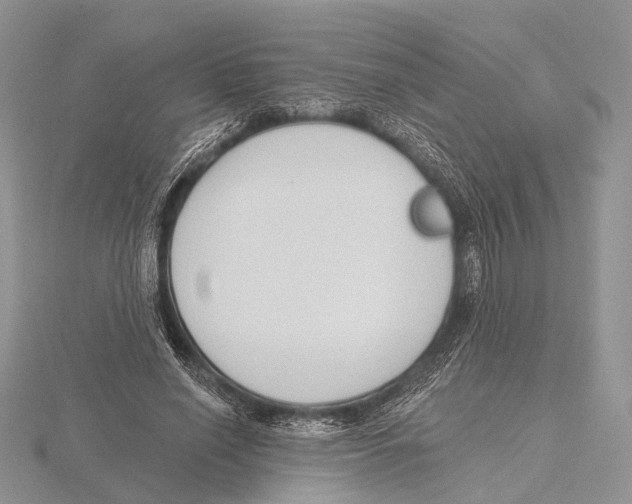 X0000115630638200912081044