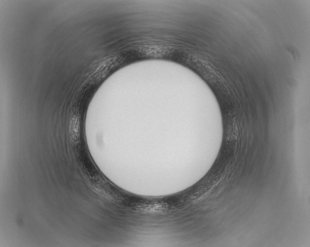 X0000115630646200912081044