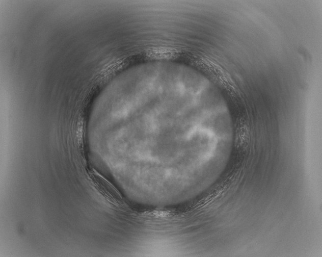 X0000115630647200912081044