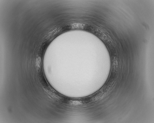 X0000115630649200912081044