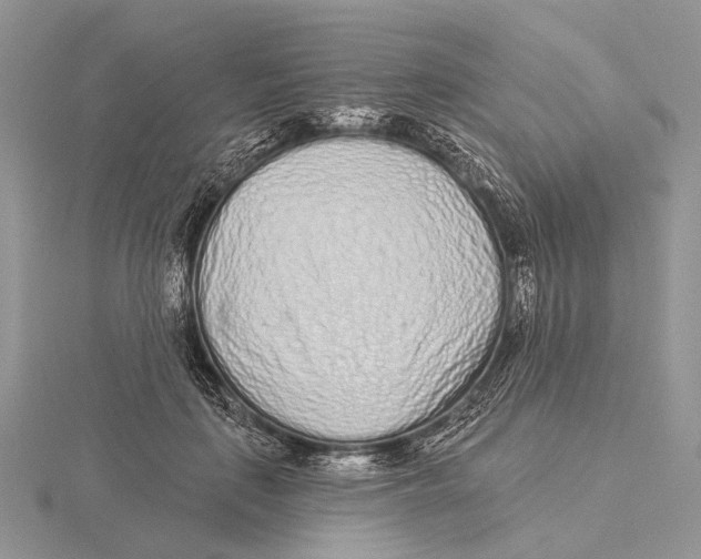 X0000115630651200912081044
