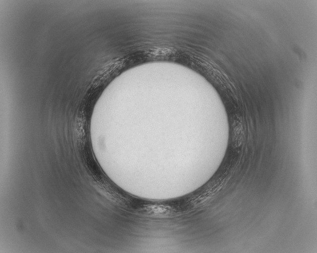 X0000115630654200912081044