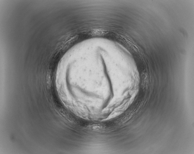 X0000115630655200912081044