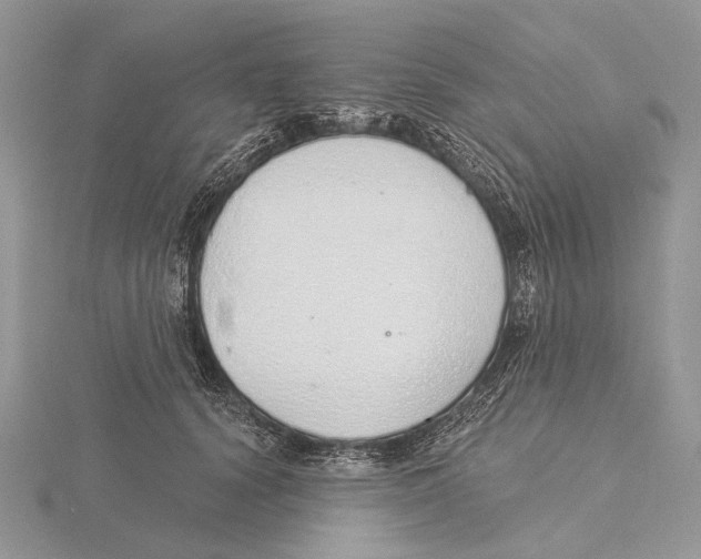 X0000115630656200912081044
