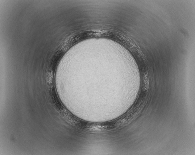 X0000115630657200912081044