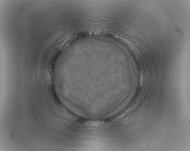 X0000115630661200912081044