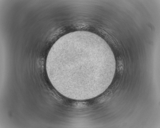 X0000115630664200912081044