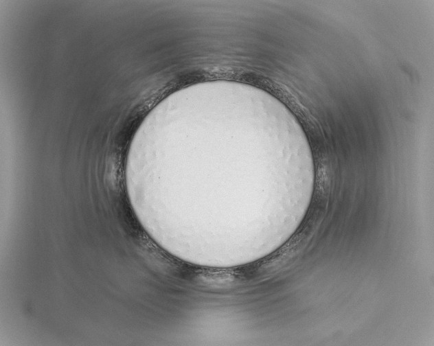 X0000115630671200912081044