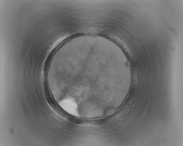 X0000115630674200912081044