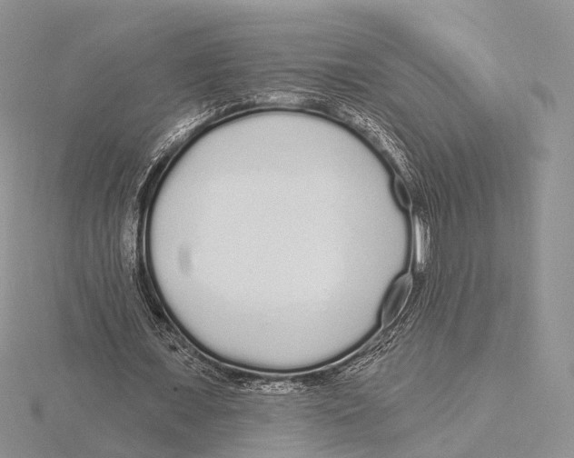 X0000115630675200912081044