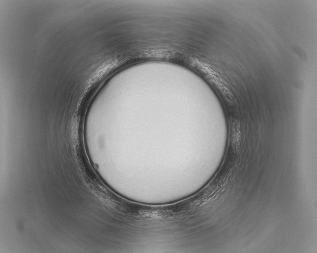 X0000115630679200912081044