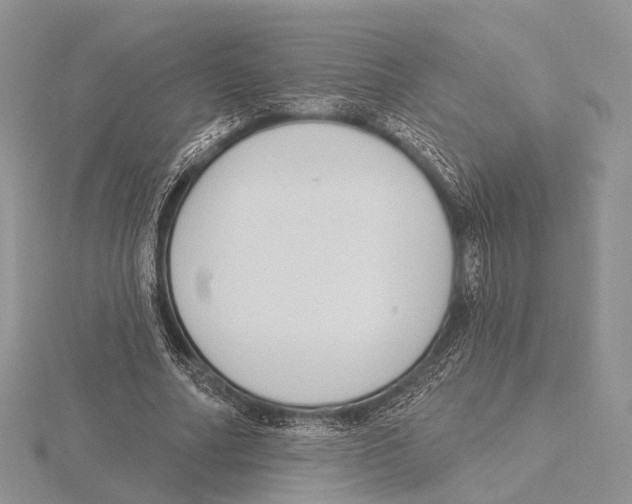 X0000115630682200912081044