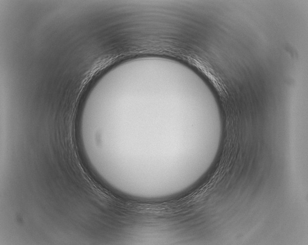 X0000115630685200912081044