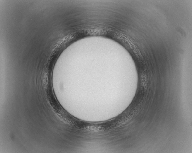 X0000115630690200912081044