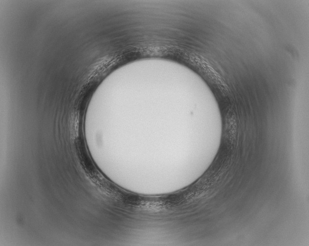 X0000115630694200912081044