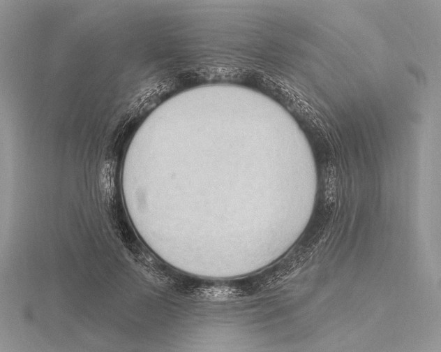 X0000115630695200912081044