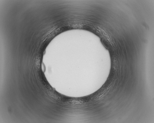 X0000115630697200912081043