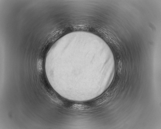 X0000115630699200912081043