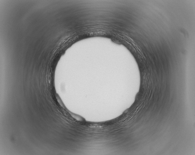 X0000115630701200912081043