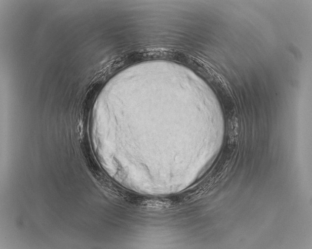 X0000115630703200912081043