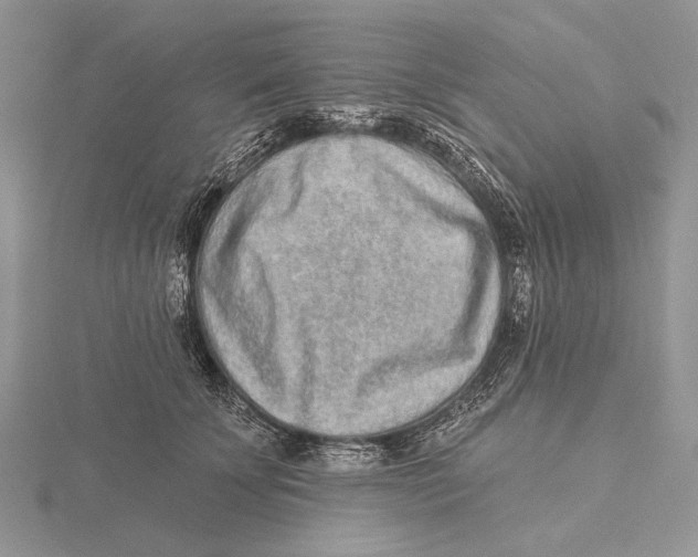X0000115630707200912081043