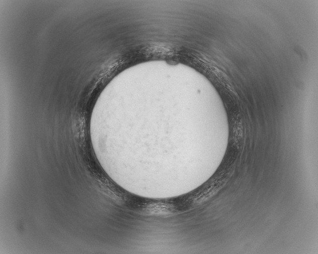 X0000115630708200912081043