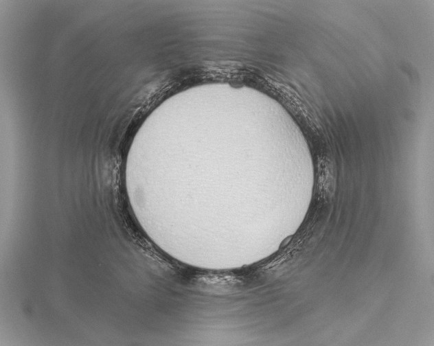 X0000115630712200912081043