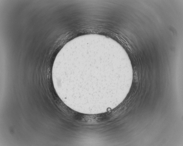 X0000115630713200912081043