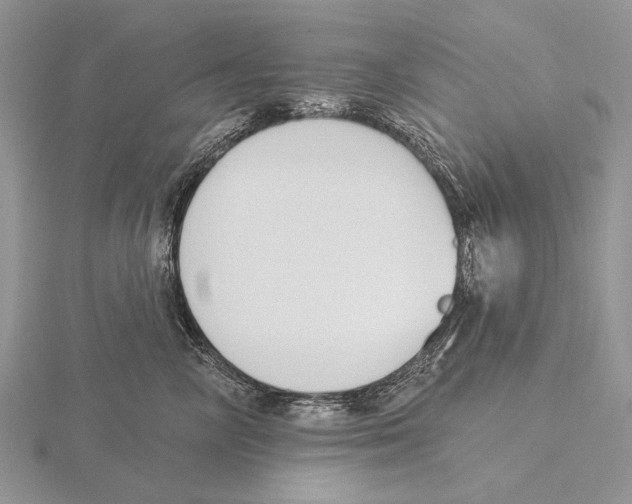 X0000115630714200912081043