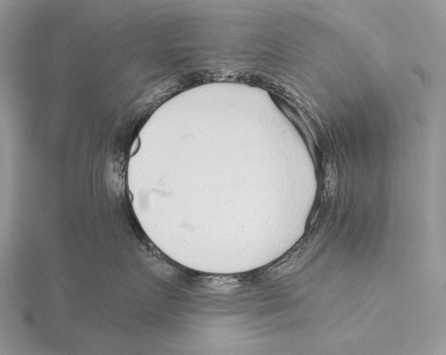 X0000115630719200912081043