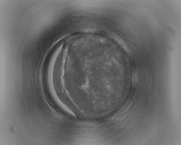 X0000115630722200912081043