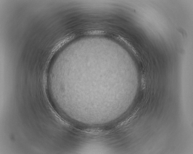 X0000115630725200912081043
