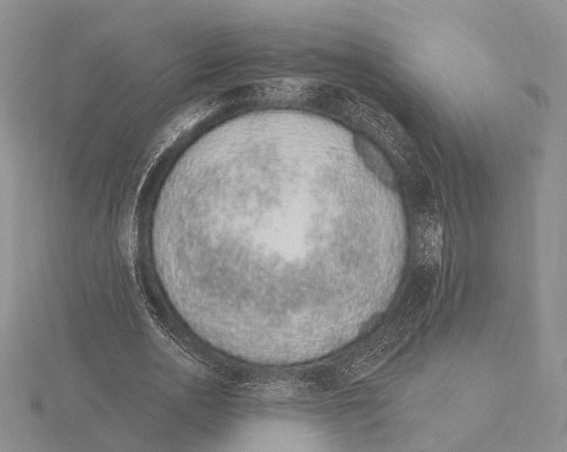 X0000115630726200912081043