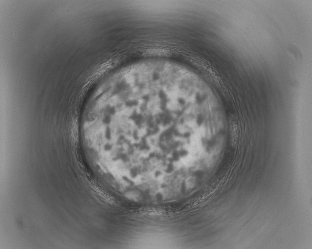 X0000115630729200912081043