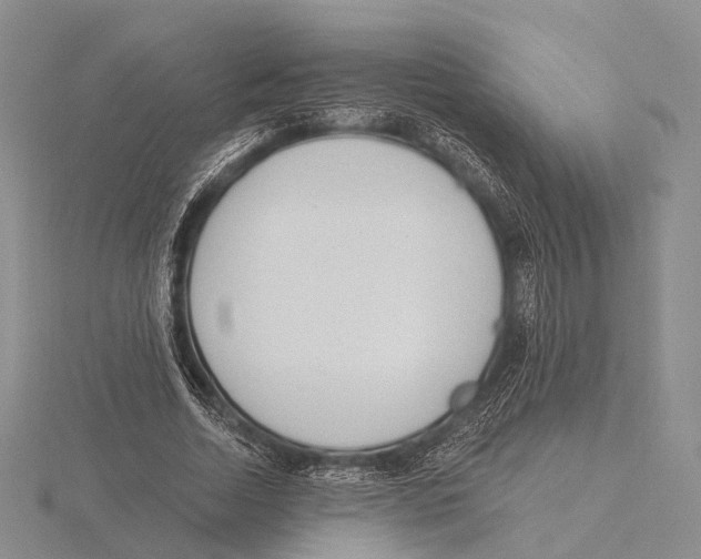 X0000115630730200912081043