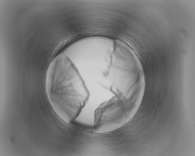 X0000115630733200912081043