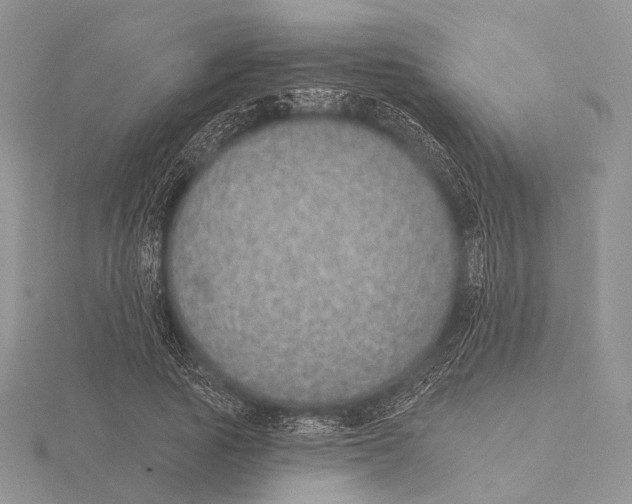 X0000115630737200912081043