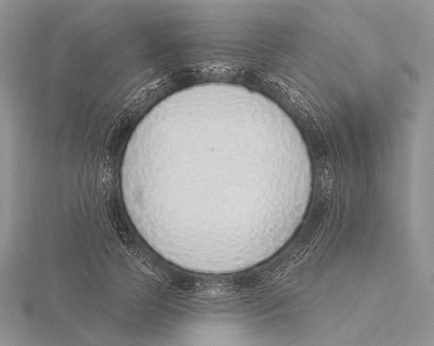 X0000115630745200912081043