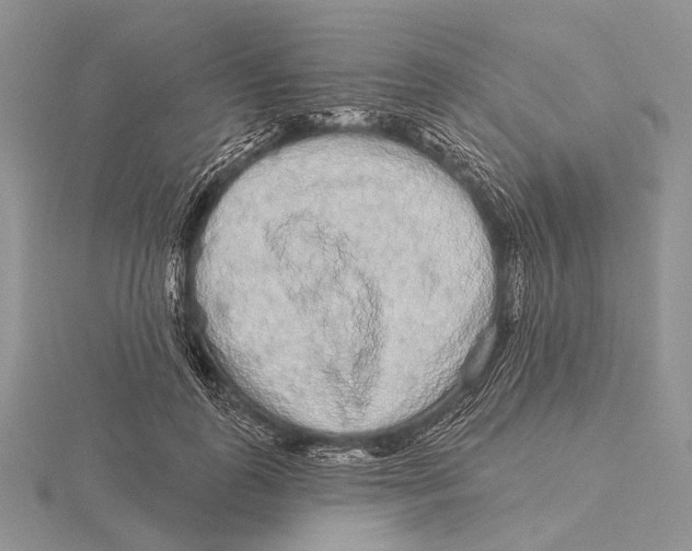 X0000115630747200912081043