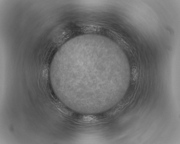 X0000115630753200912081043
