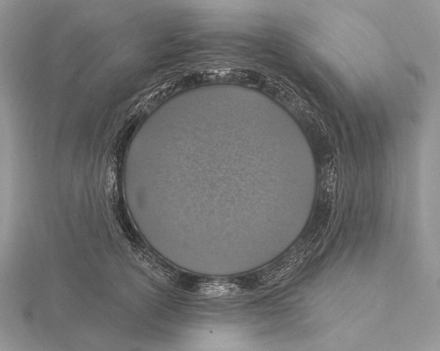X0000115630754200912081043